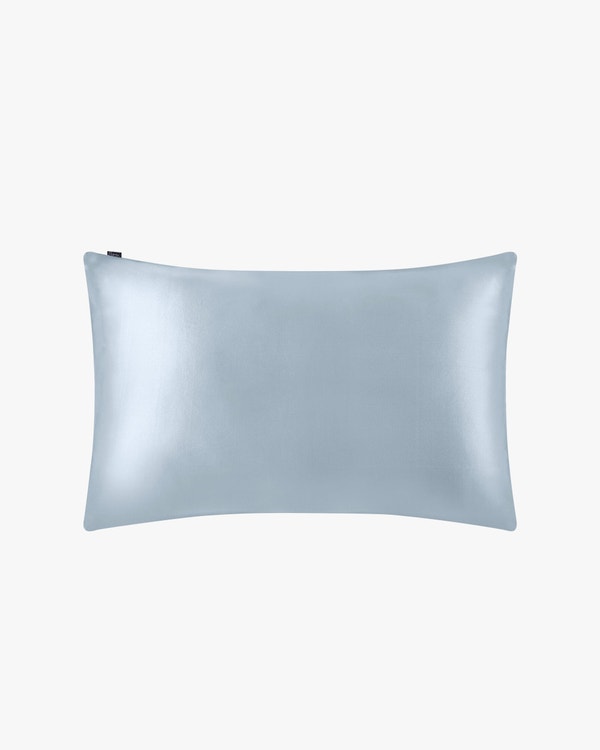 2PCs 22 Momme Terse Silk Pillowcase Silver Blue Queen