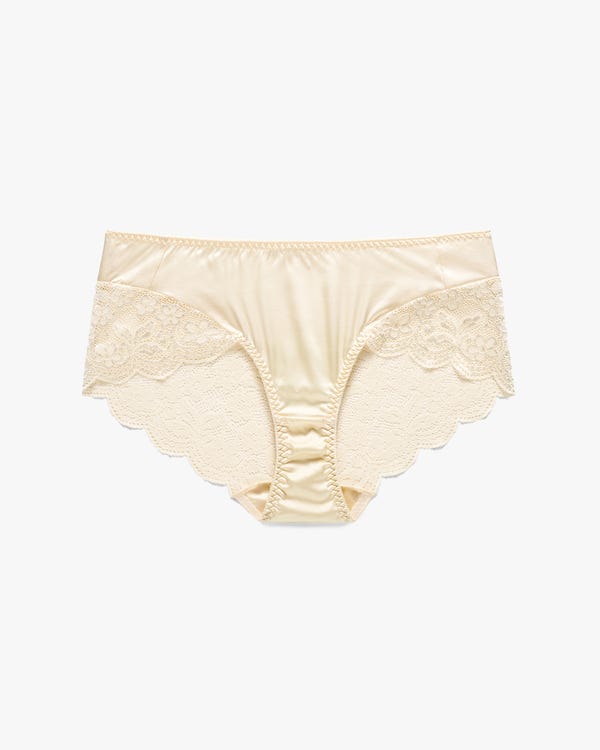 Alluring Lace Silk Panty For Women